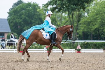 Bild 76 - Pony Akademie Turnier